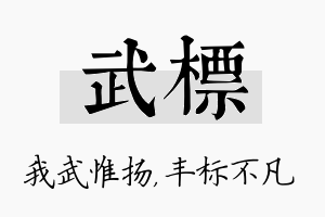 武标名字的寓意及含义