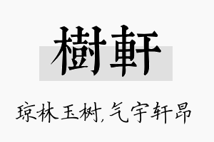 树轩名字的寓意及含义