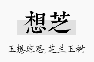 想芝名字的寓意及含义