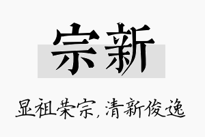 宗新名字的寓意及含义