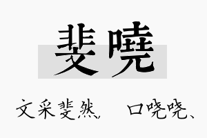 斐哓名字的寓意及含义