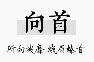 向首名字的寓意及含义