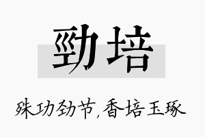 劲培名字的寓意及含义