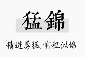 猛锦名字的寓意及含义