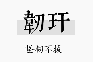 韧玕名字的寓意及含义