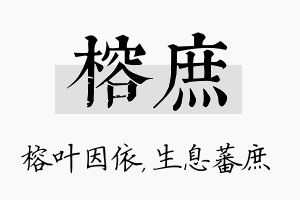 榕庶名字的寓意及含义