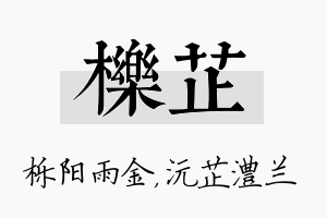 栎芷名字的寓意及含义