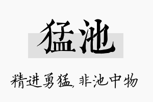 猛池名字的寓意及含义