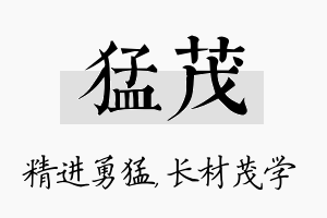 猛茂名字的寓意及含义