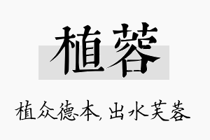 植蓉名字的寓意及含义