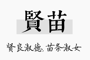 贤苗名字的寓意及含义