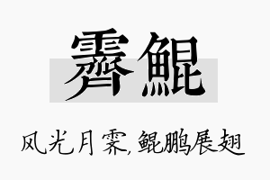 霁鲲名字的寓意及含义