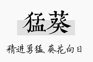 猛葵名字的寓意及含义