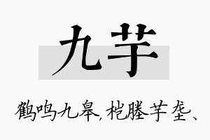 九芋名字的寓意及含义