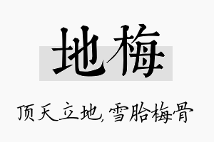 地梅名字的寓意及含义