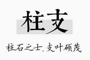 柱支名字的寓意及含义