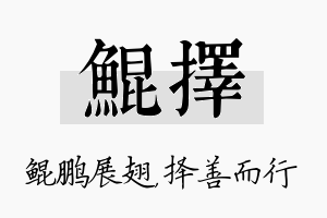 鲲择名字的寓意及含义