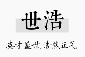 世浩名字的寓意及含义