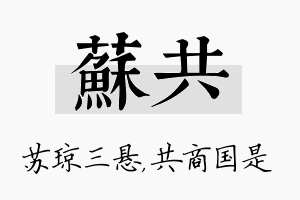 苏共名字的寓意及含义