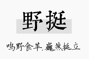 野挺名字的寓意及含义