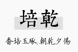 培乾名字的寓意及含义