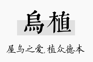 乌植名字的寓意及含义