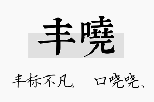 丰哓名字的寓意及含义