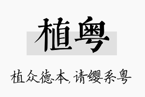 植粤名字的寓意及含义