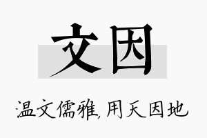 文因名字的寓意及含义