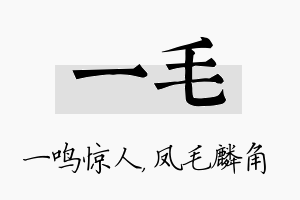 一毛名字的寓意及含义