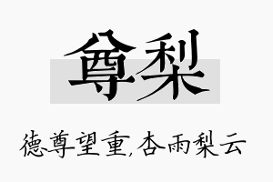 尊梨名字的寓意及含义