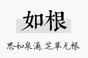 如根名字的寓意及含义