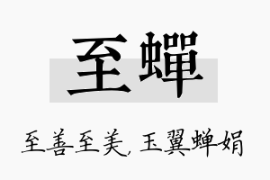 至蝉名字的寓意及含义