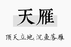 天雁名字的寓意及含义