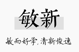 敏新名字的寓意及含义