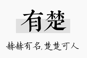 有楚名字的寓意及含义