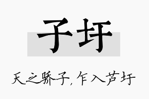 子圩名字的寓意及含义