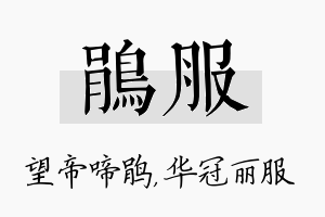 鹃服名字的寓意及含义