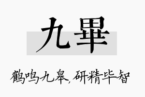 九毕名字的寓意及含义