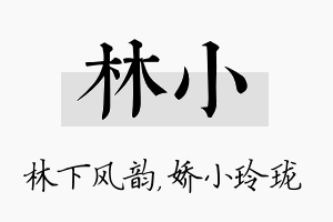 林小名字的寓意及含义