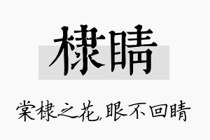 棣睛名字的寓意及含义