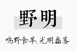 野明名字的寓意及含义