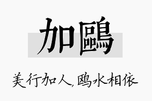 加鸥名字的寓意及含义