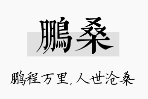 鹏桑名字的寓意及含义