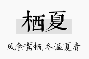 栖夏名字的寓意及含义