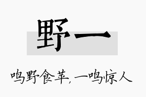 野一名字的寓意及含义