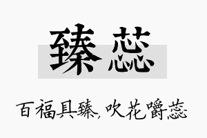 臻蕊名字的寓意及含义