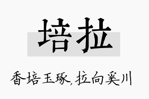 培拉名字的寓意及含义