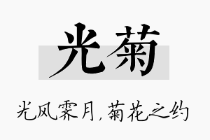 光菊名字的寓意及含义