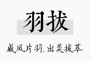 羽拔名字的寓意及含义